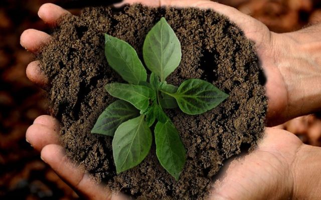 Sustainability